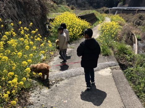 🌸春🌸